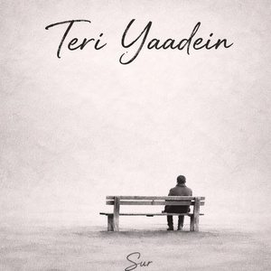 Teri Yaadein