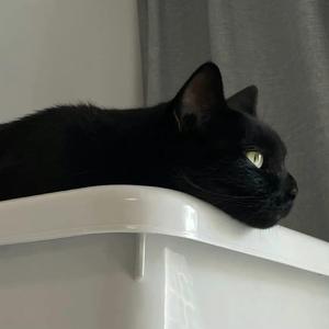 F.I.R.-我们的爱 （Dec07th remix）