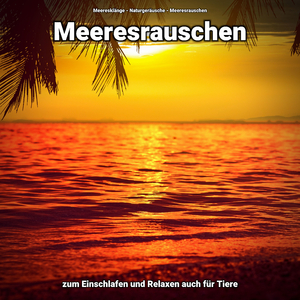 Meeresrauschen für den Tiefschlaf