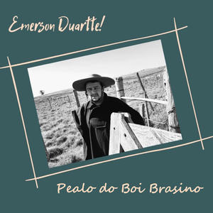 Pealo do Boi Brasino