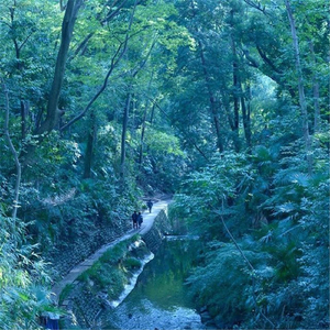 水辺の遊歩道 (Waterside Boardwalk) [feat. Keiko Yoshimura]