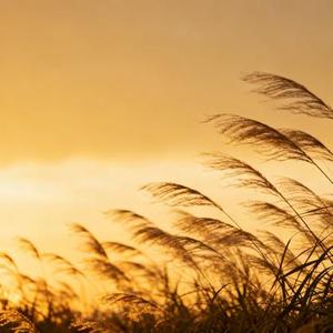 首先要开心其次是其次