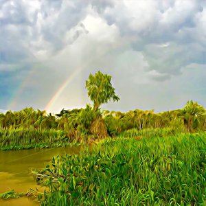 Rápidos Del Paraná