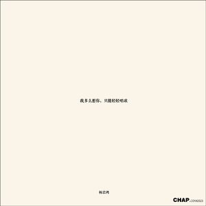 宁静夜晚发现一颗子弹