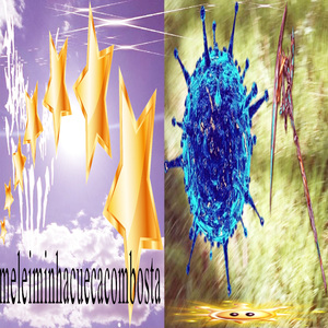 Meleiminhacuecacombosta