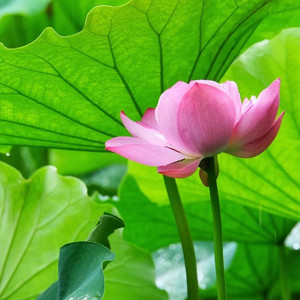 只是道寻常_184906_184914_track0_184914