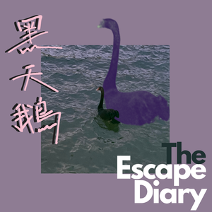 黑天鹅