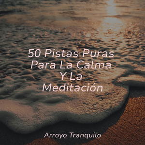 Mañanas Soleadas De Primavera