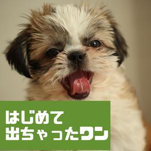 気ままにフレブルパンケーキ