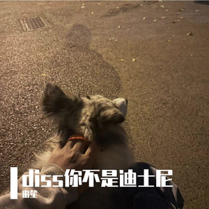 diss谢老板的都去鼠