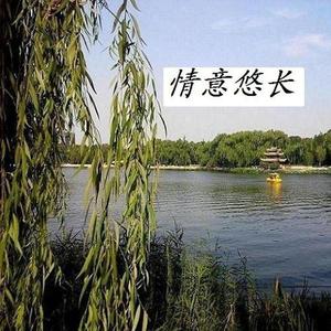 爱在这个季节