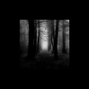 Dense fog【Free beat】