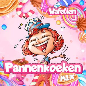 Pannenkoekenmix