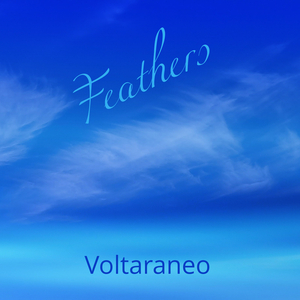 Feathers