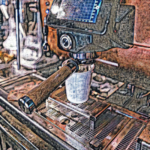 Foodstuff Oyster Mushroom