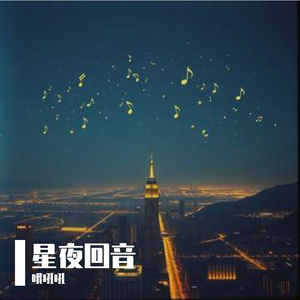 星夜回音