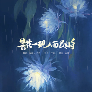 昙花一现雨及时