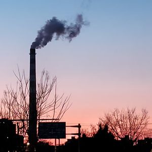 年长我的姑娘--李少星