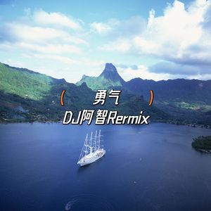 勇气（DJ阿智 remix）