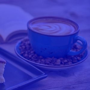 柔和的午餐时刻