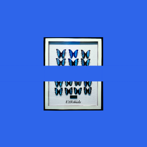 AT力场(Prod.By Jeston)