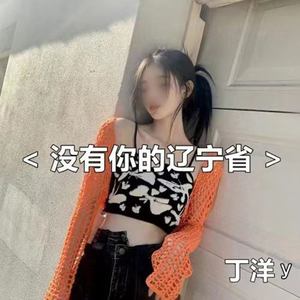 没有你的辽宁省