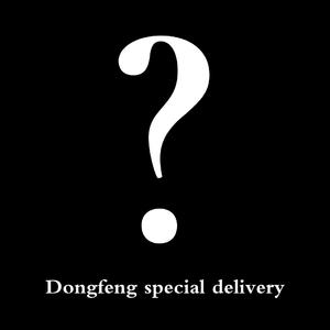Dongfeng special delivery(东风快递)