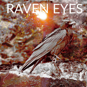 Raven Eyes