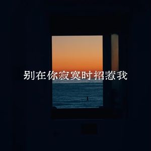 别在你寂寞时招惹我