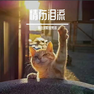 情伤泪流