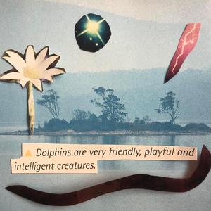 Bottle Brushes Bloom