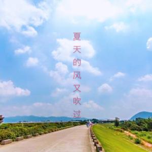 夏天的风又吹过