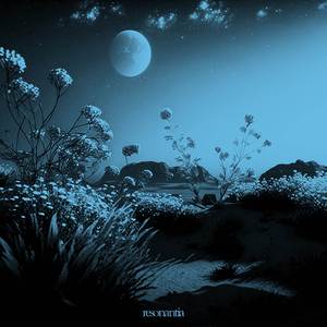 Soothing Stream