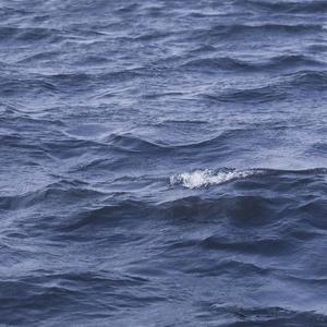 今夜我陪你化成灰