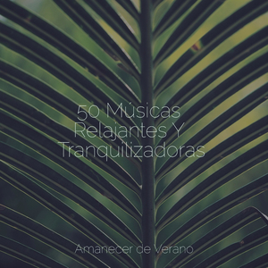 Melodías etéreas de hielo de medianoche