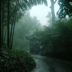 落青衣