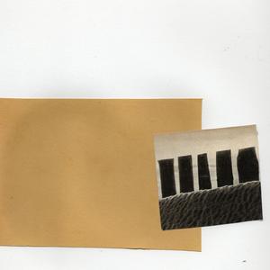 the rules of the sunshine express (full band)