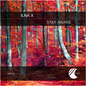Stay Awake (Original MIx)