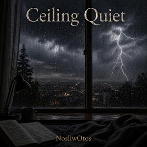 Ceiling Quiet