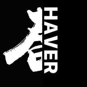 摇摇乐（Dj 春-Haver remix）