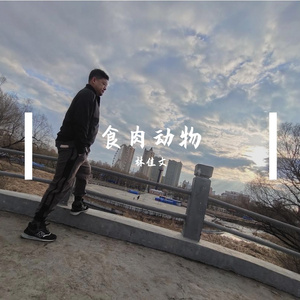 食肉动物-林佳文-原声带