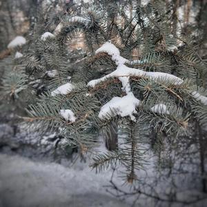 下雪的季节，时间会变慢