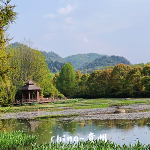 剑酒如歌行江湖