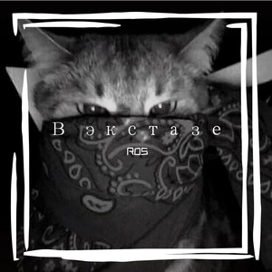 В экстазе(热播版)