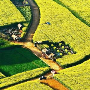 想起尕妹了拉夜川