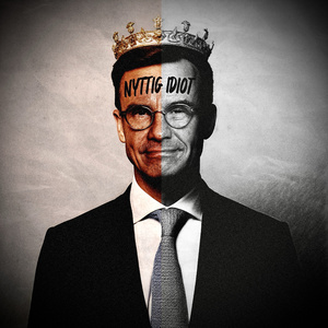 Nyttig idiot