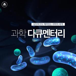 발견의 미학