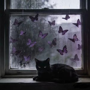 阴雨天（Rainy Winter）