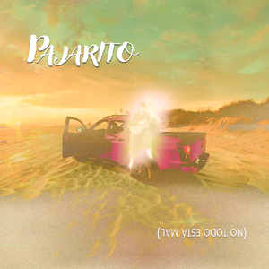 Pajarito (no todo está mal)