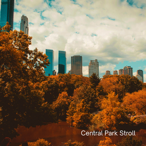 Central Park Stroll